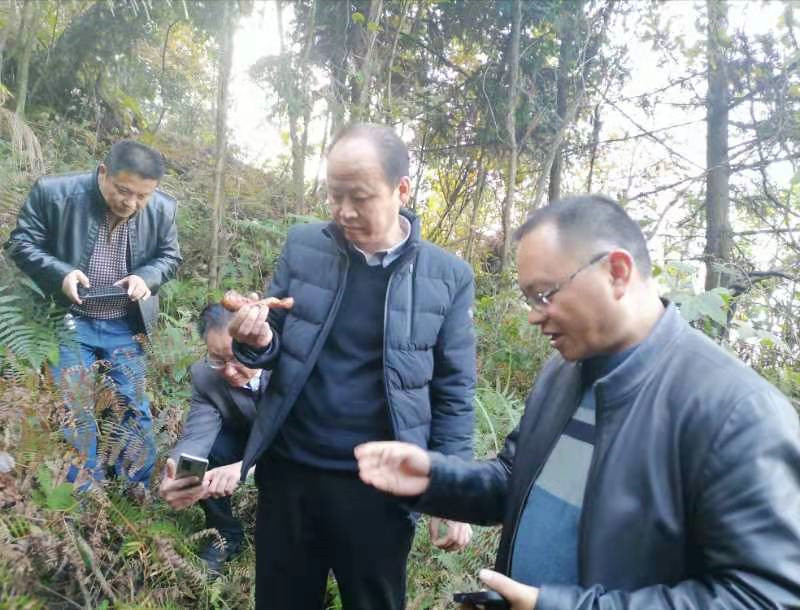 QQ图片20211124143149.jpg QQ图片20211124143149.jpg