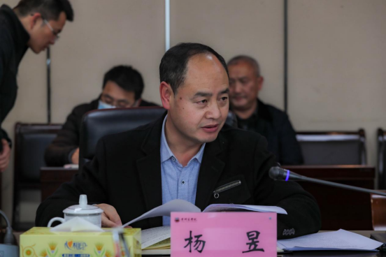 杨2.jpg 杨2.jpg